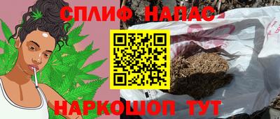прущие грибы Дубна