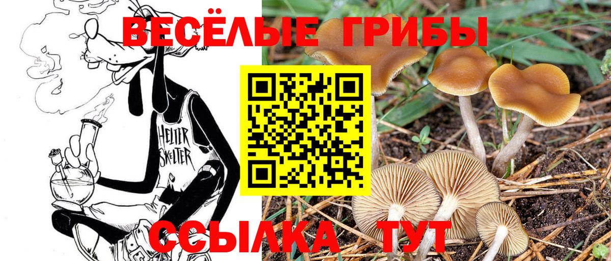 Галлюциногенные грибы MAGIC MUSHROOMS Наро-Фоминск