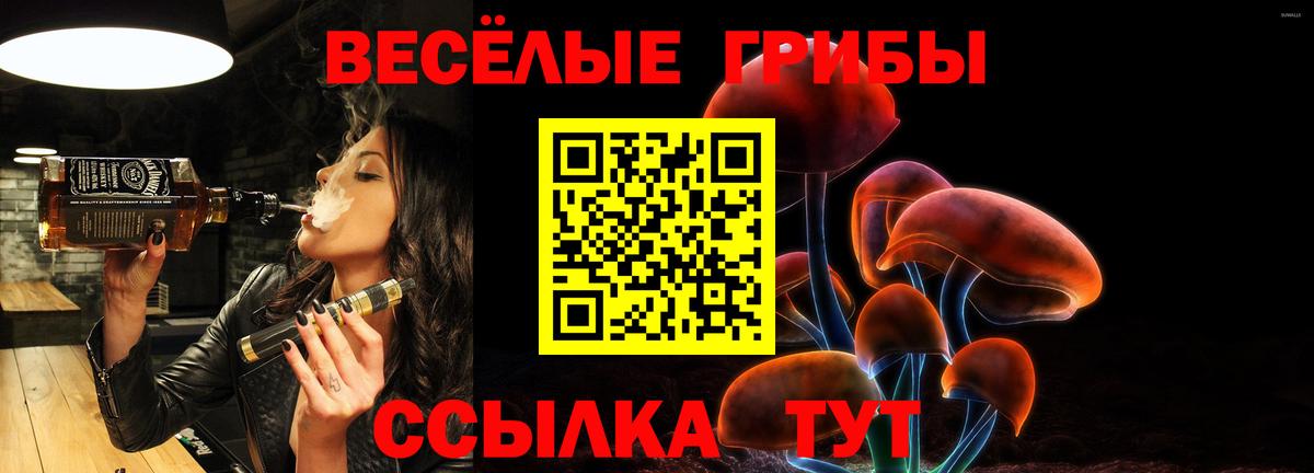 Наро-Фоминск  Псилоцибиновые грибы Psilocybine cubensis  Псилоцибиновые грибы GOLDEN TEACHER  Вход с VPN 